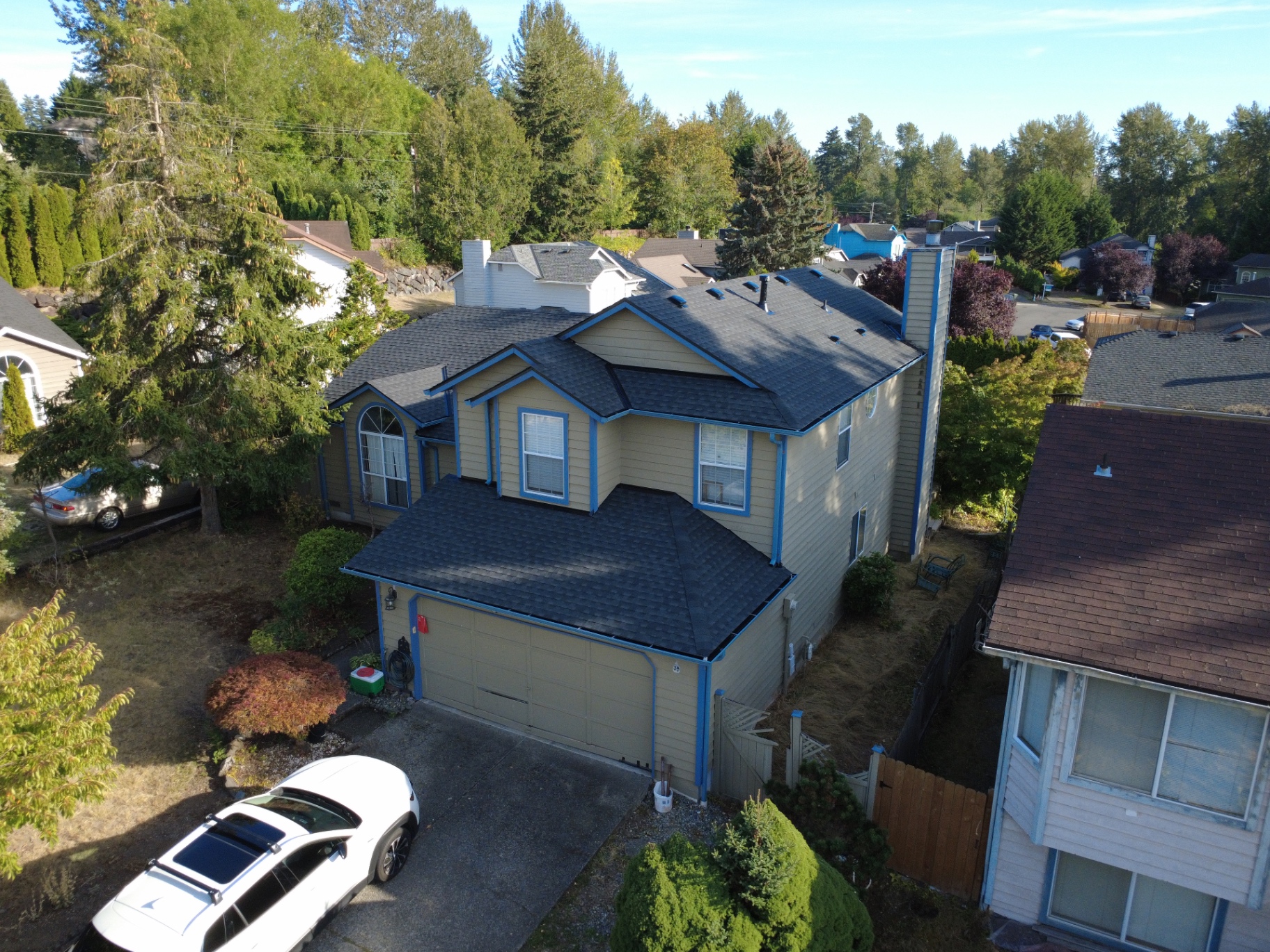 High-angle drone view of a tan two-story house with bright blue trim and matching gutters, featuring a new dark grey shingle roof in a wooded suburban neighborhood in Kent, Washington