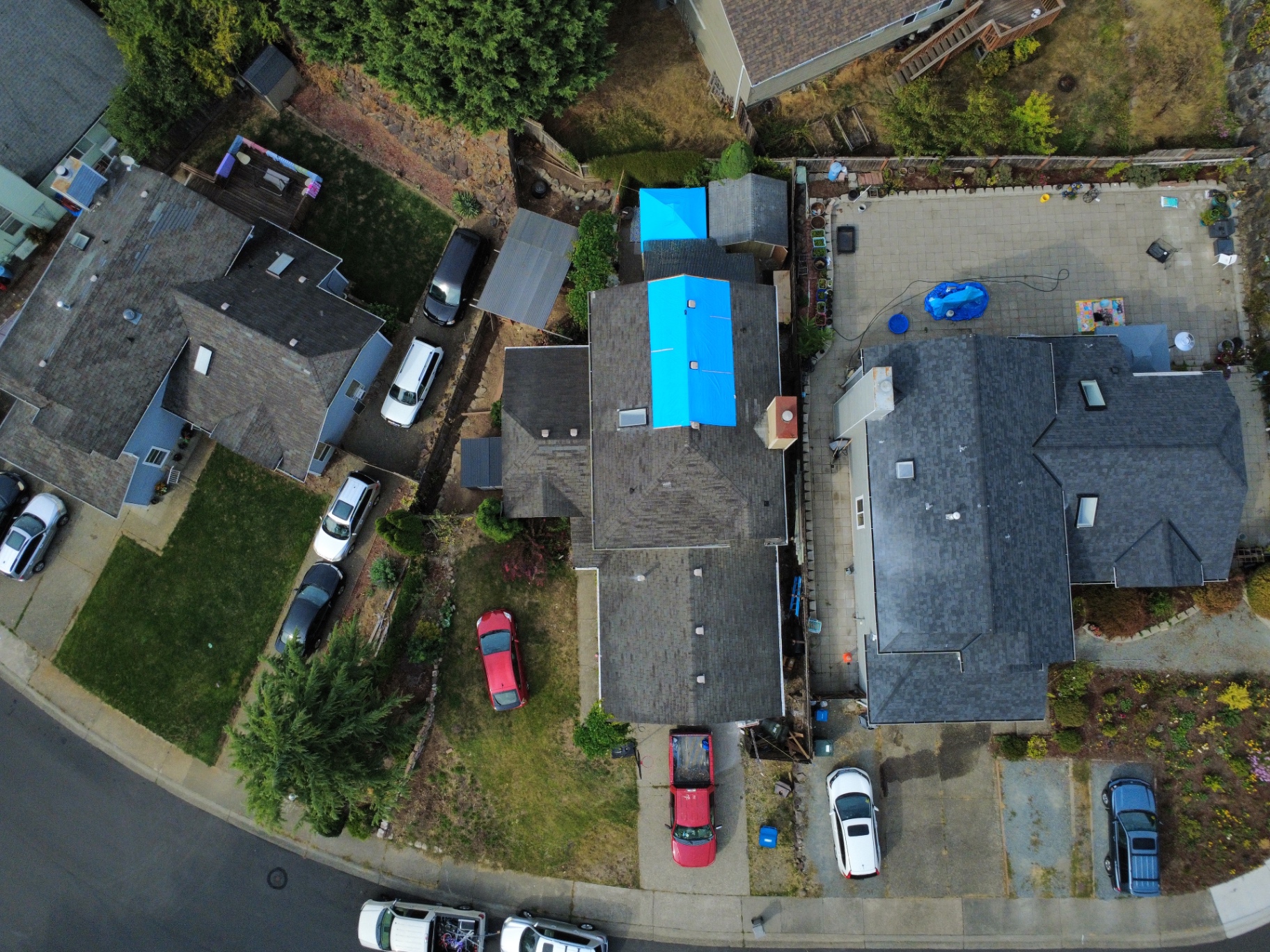 Residential roofs protected with blue emergency tarps before rainfall